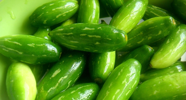 কুন্দুলি ( Kunduli)  - 500g
