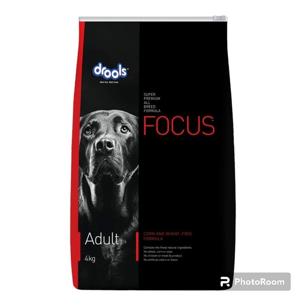 Focus Adult 4 Kg 