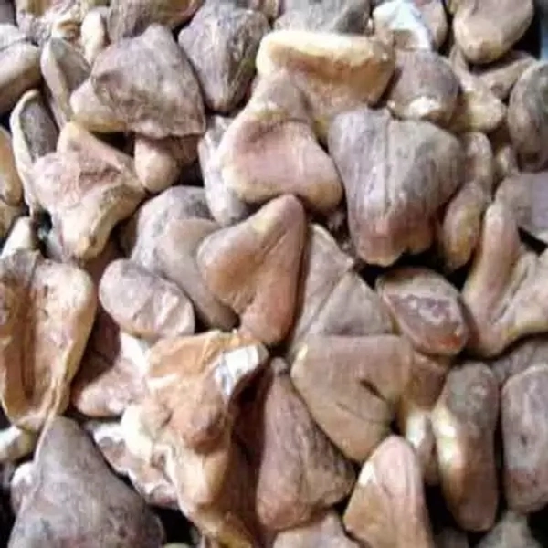 Singhara Sabut 500gm