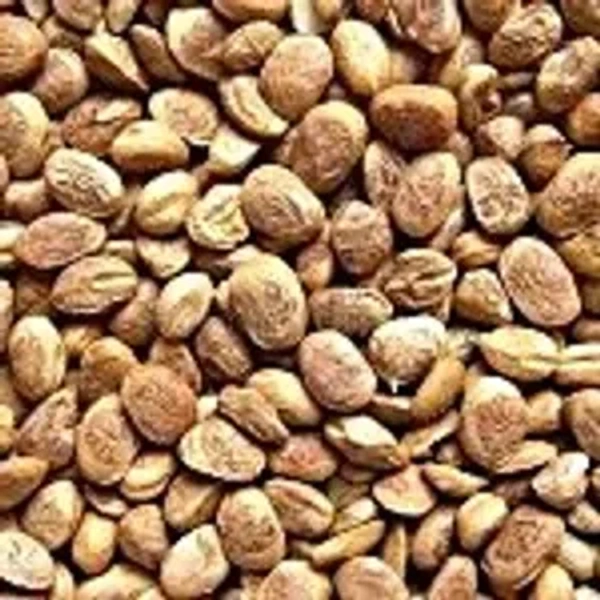 Chironji , 100G