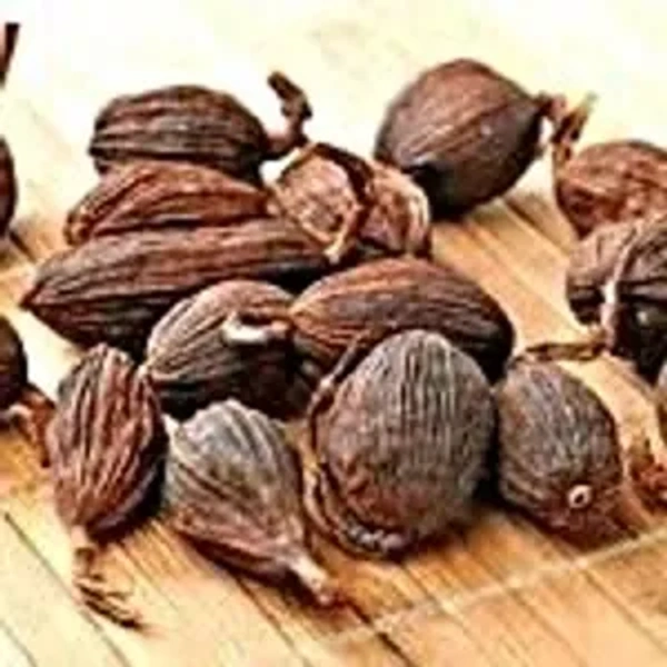 Dora Elaichi Badi 25Gm