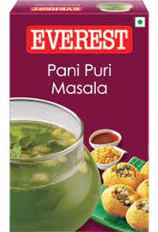 Everest Pani Puri Masala 50Gm