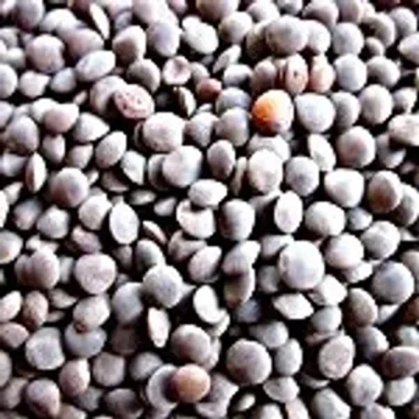 Kali Masoor Dal , 500G