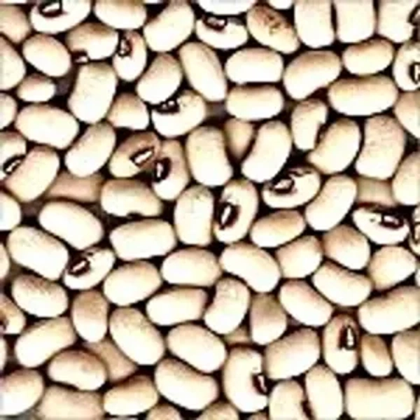 Lobiya Ramas 500G