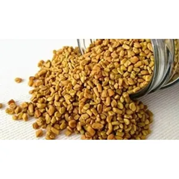 Methi Dana Gr 500gm