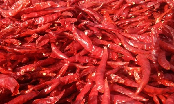 Mirch Dandi Cut Sabut , 500Gm