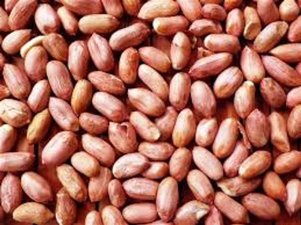 Mungfali Dana 500Gm (Moongfali Dana)