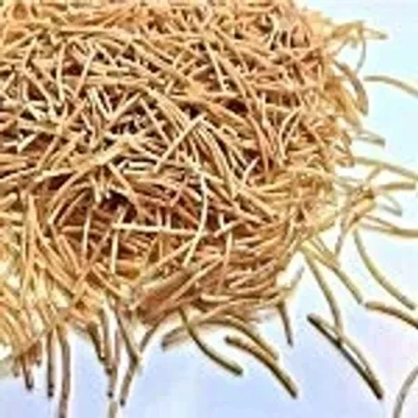 Shreeji Roasted Semiya (Vermicelli) 900G