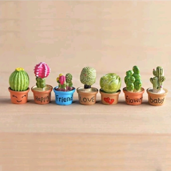Miniature Succulent Plants 7 Pcs