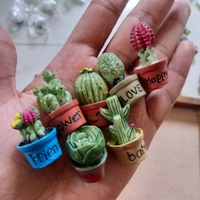 Miniature Succulent Plants 7 Pcs