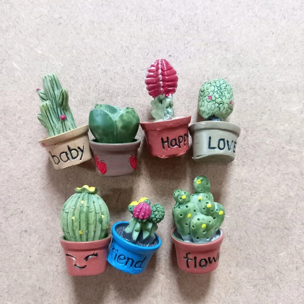 Miniature Succulent Plants 7 Pcs