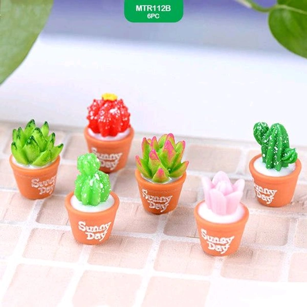 Miniature Succulent Plants-6 Pcs