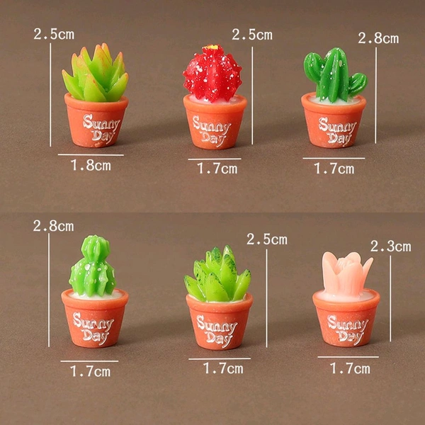 Miniature Succulent Plants-6 Pcs