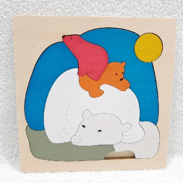 3D Puzzle Life Cricle Set Of 4 - 15cmX15cm, 0.72