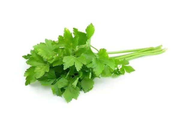 Dhane Pata Dhaniya Coriander Leaves 100 gm