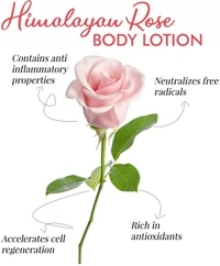 Moisturizing Body Lotion - Rose - Pack of 2