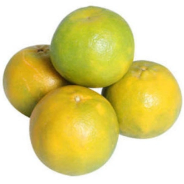 Fresho Orange Nagapur/ संतरा नागपुर - 500Gm