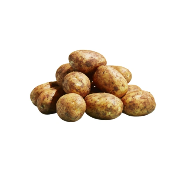 Fresho Potato White /सफेद आलू - 500Gm