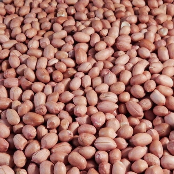 Peanuts ( কাঁচা বাদাম) Loose 100gm