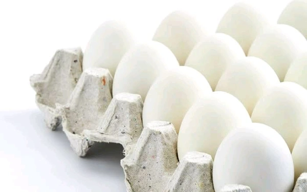 Egg (অন্ধ্র)15pic 