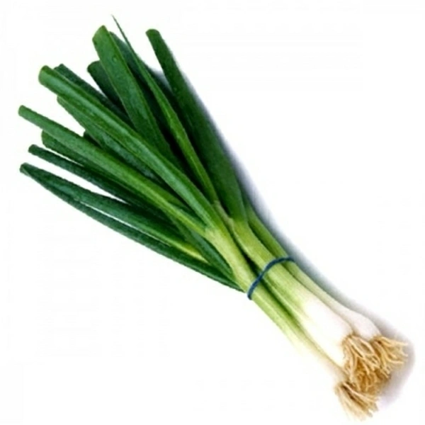 Spring Onions -Hara Patta Pyaj ( Approx 500-600 Grams Bunch)