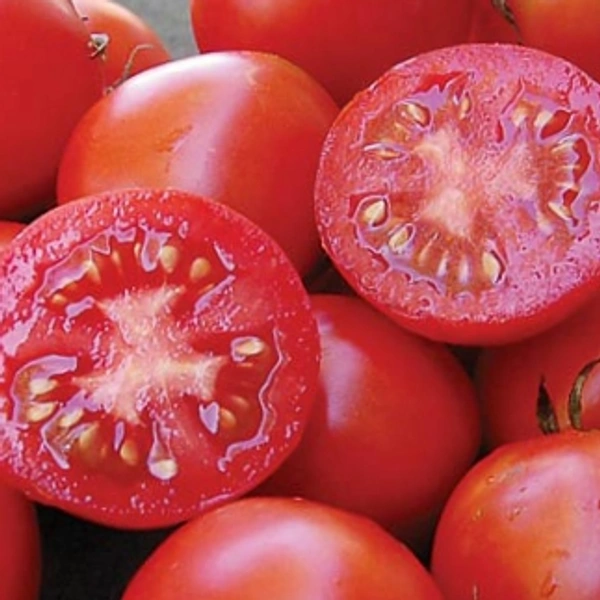 Tomato Salad HB 1 Kg