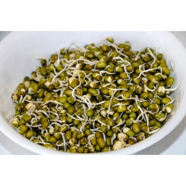 Sprout - Moong