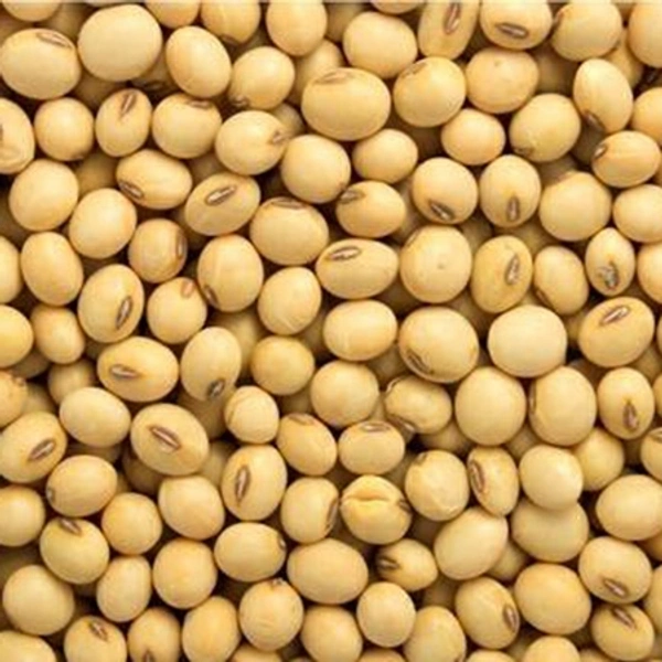 Soyabean 1 Kg
