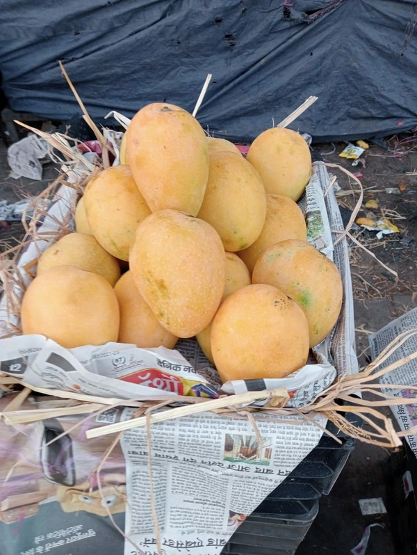 Mango- Aam - 1 Kg