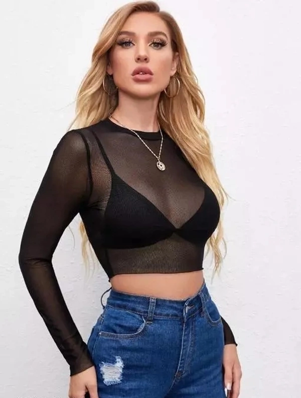 Sheer Mesh Long Sleeve Crop Top Without Bra - L
