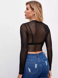 Sheer Mesh Long Sleeve Crop Top Without Bra - L