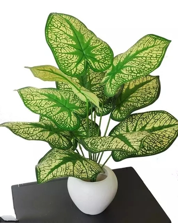 Natural looking Money Plant Tree with 12 Leaves