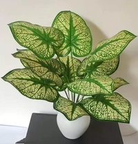 Natural looking Money Plant Tree with 12 Leaves