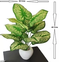 Natural looking Money Plant Tree with 12 Leaves