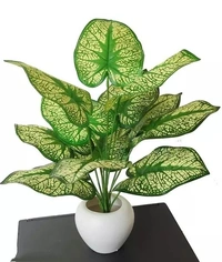 Natural looking Money Plant Tree with 12 Leaves