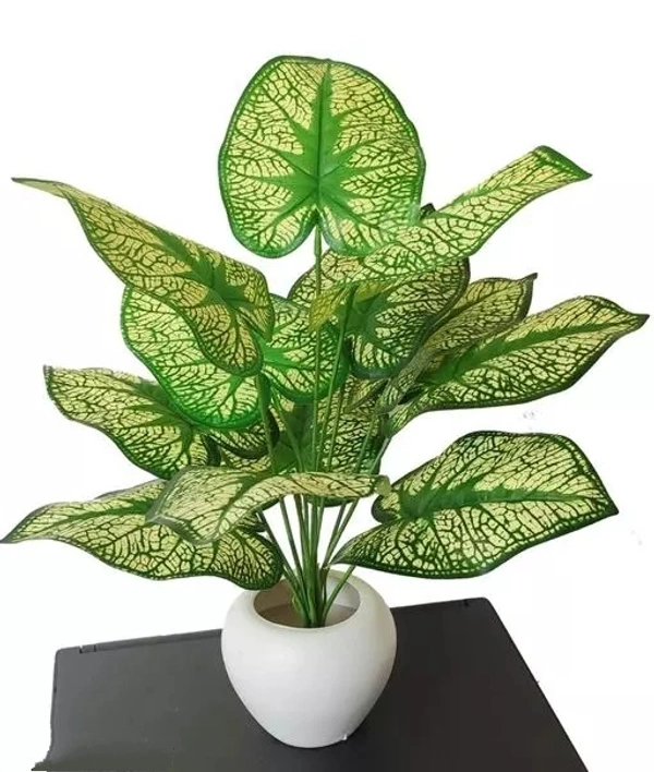 Natural looking Money Plant Tree with 12 Leaves