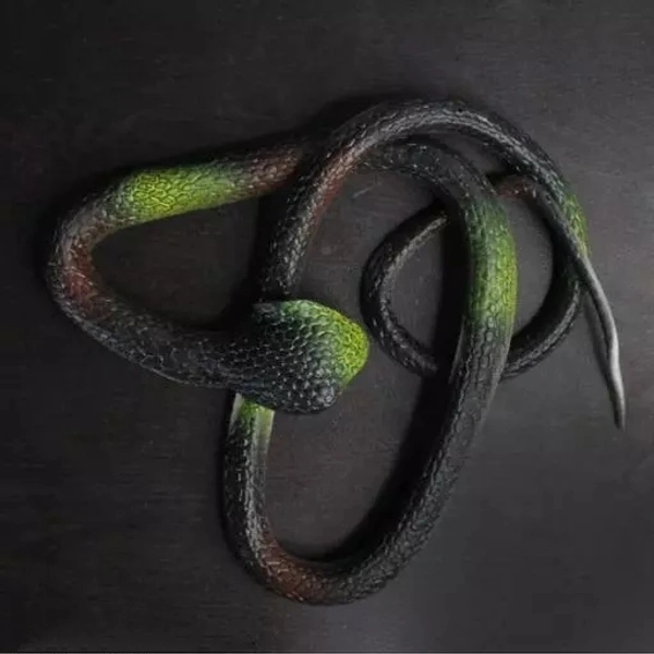 Presents (pack of 1 pcs snake toys)Toys gifts rubber snakes prank toy (multicolour,28-inch)