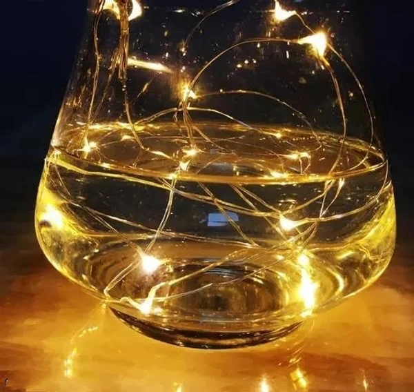  2 Mtr Coin Battery String Light W/W