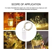 Coin Battery String Warm Light (Pack of 2)