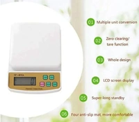 Kitchen Weighing Scale With Tare Function SF 400A with Adaptor 10 kg Digital Multi-Purpose food weight machine for shop home use baking small portable countertop plastic ABS body
