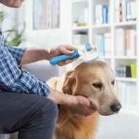 Self Cleaning Slicker Pet Grooming Brush | Pet Cleaning Tool Suitable for All Pets | Rectangular Shape