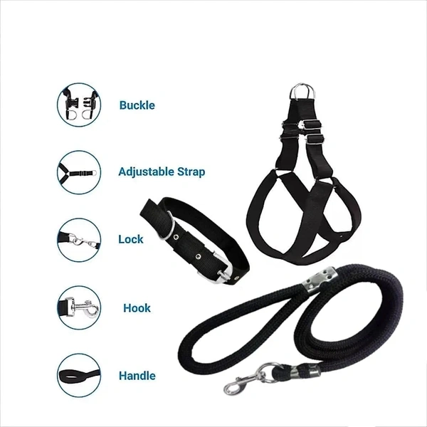 Dog Combo Pack of Harness, Neck Collar Belt and Rope Set (Black, Medium, Waterproof, Rope Size 1.5M-2M)