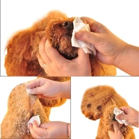 Hypoallergenic Dog Wipes, Cleaning and Odor-Controlling Grooming Wipes for Paws, Body, and Butt, Perfect for Puppy and Adult Dogs, Fresh Apple Scent, 100 Count