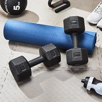 PVC 1-5 Kg (Round/Hex) Dumbbell Sets and Fitness Kit for Men and Women Whole Body Workout