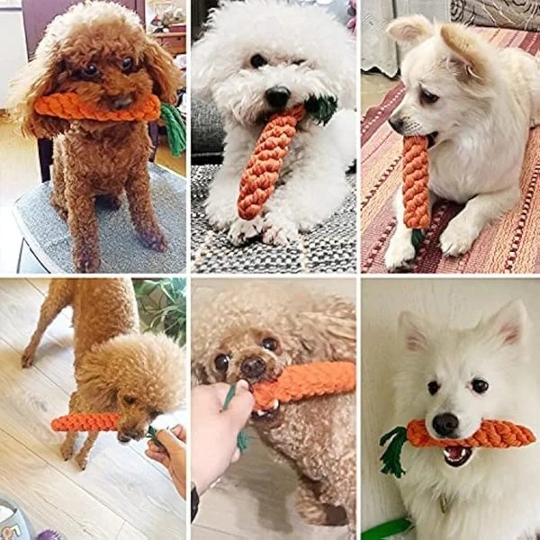 Tail Dog Toys + Dog Chew Toys + Puppy Teething Toys + Rope Toys + Dog Toys for Small to Medium Dog Toys + Dog Toy Pack(Pack of 5)