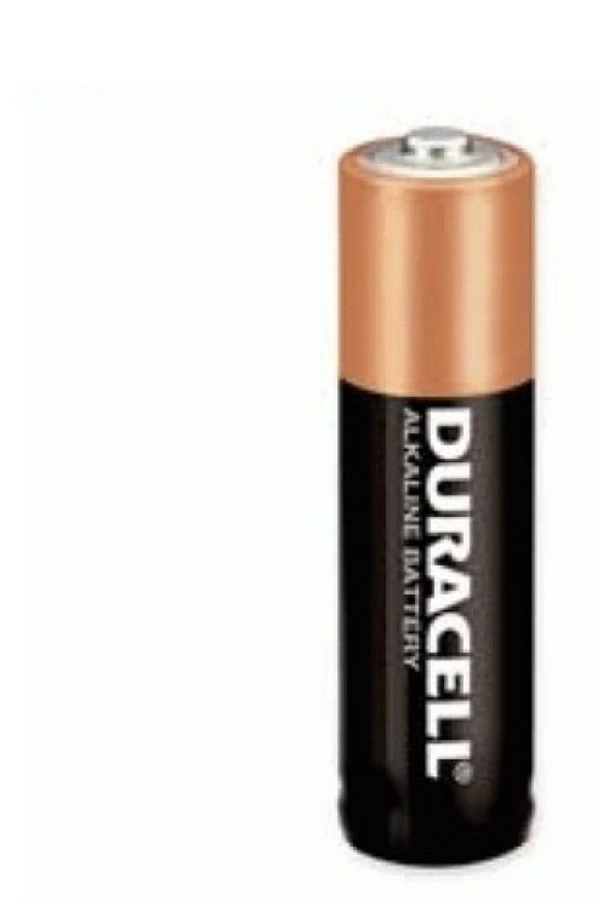 Duracell AA