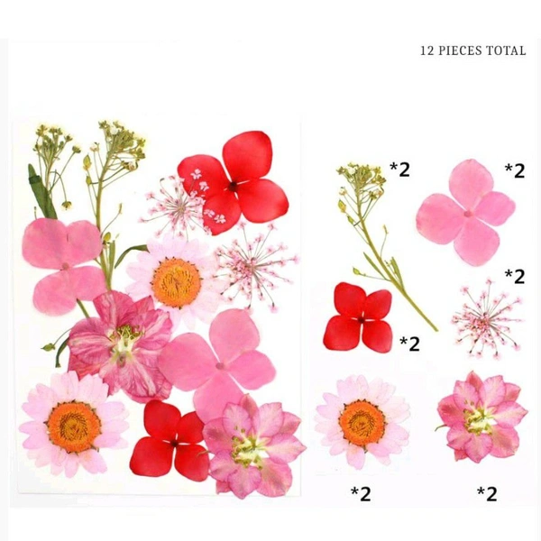 Dry Flower Sheet 16