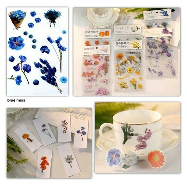 Blue Miss Transparent Stickers