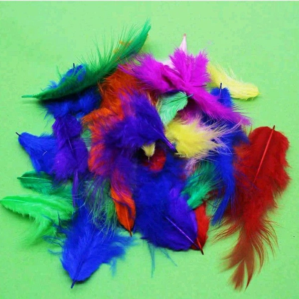Soft Multi-Color Feathers (100pcs)