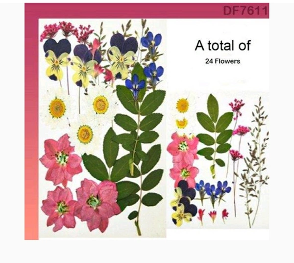 Dry Flower Sheet 29